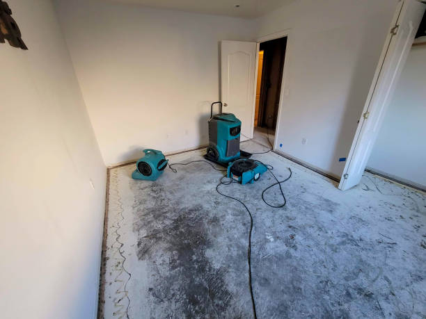 Best Basement water damage restoration  in Flora Vista, NM