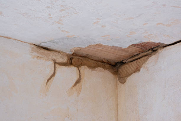 Best Ceiling water damage repair  in Flora Vista, NM